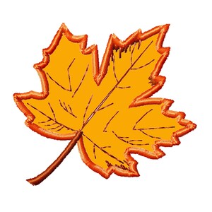 May include: A single orange maple leaf with a brown stem. The leaf has a detailed outline and veins.