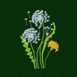 Kwiaty maszynowy haft wzór Dandelion cyfrowy wzór. Kwiatowe wzory zestawów 2 rozmiary