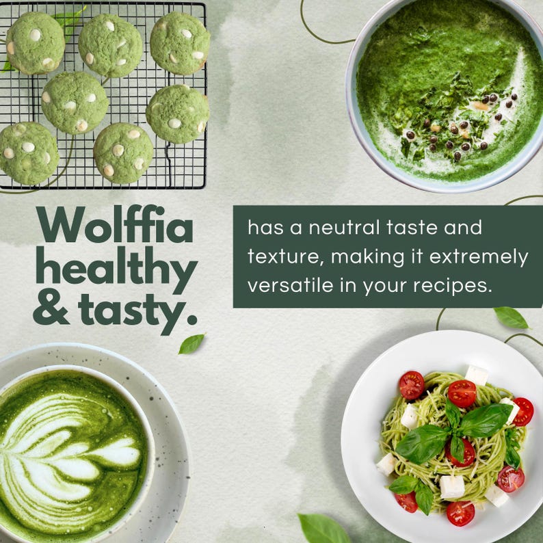 Wolffia Globosa Powder: Plant-Based Protein Superfood, Natural B12, Vegan image 6