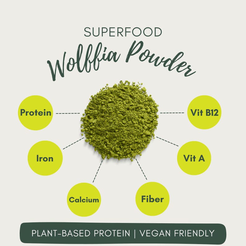 Wolffia Globosa Powder: Plant-Based Protein Superfood, Natural B12, Vegan image 4