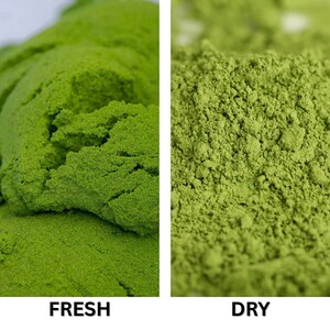 Wolffia Globosa Pulver: Pflanzliches Protein Superfood mit natürlichem B12-50g Bild 4