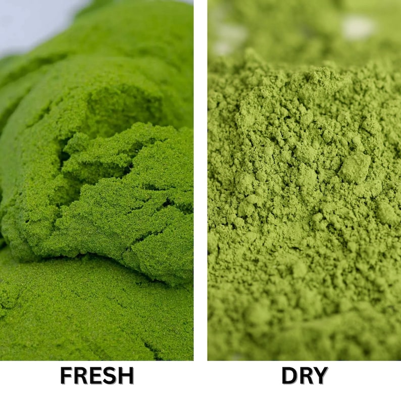 Wolffia Globosa Pulver: Pflanzliches Protein Superfood mit natürlichem B12-50g Bild 4