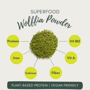Wolffia Globosa Pulver: Pflanzliches Protein Superfood mit natürlichem B12-50g Bild 6