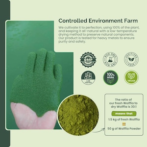 Wolffia Globosa Pulver: Pflanzliches Protein Superfood mit natürlichem B12-50g Bild 8