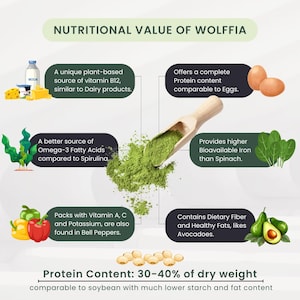Wolffia Globosa Pulver: Pflanzliches Protein Superfood mit natürlichem B12-50g Bild 7