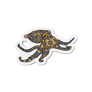 Blue Ringed Octopus Refrigerator  Magnets