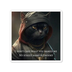 May include: A black cat wearing a black hooded jacket with a gold chain necklace. The cat has a serious expression and the text "I don't care what you named me. My street name is Snooky." is below the cat.