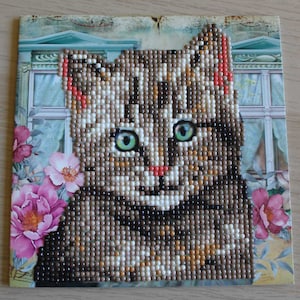 Diamond Grußkarte, Karte, Katze