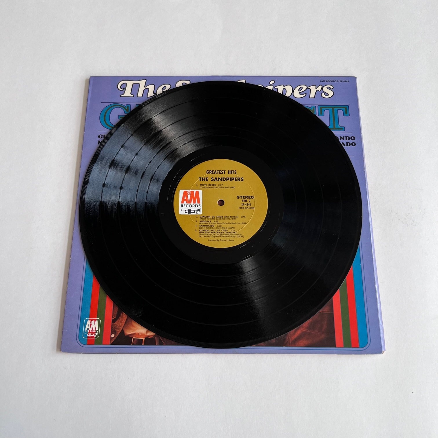 The Sandpipers - Greatest Hits (1970) - Etsy