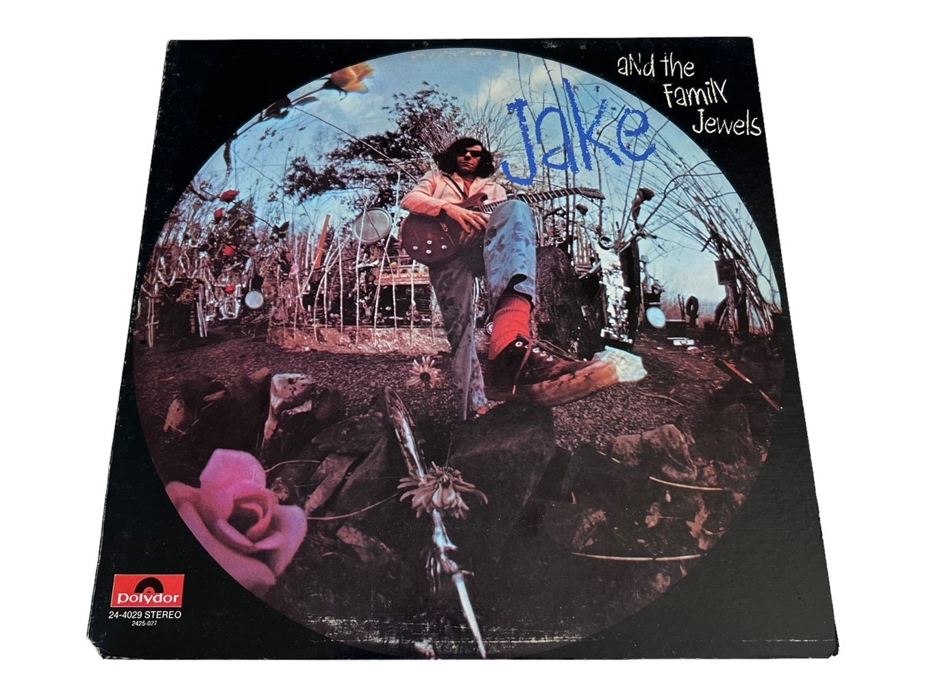 洋楽 Jake with the Family Jewels US promo LP Jake and the Family Jewels Vinyl Record (1970) - NM- / VG+ - Etsy