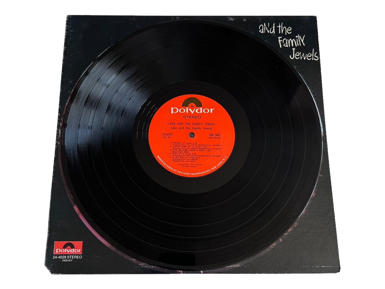 Jake and the Family Jewels Vinyl Record (1970) - NM- / VG+ - Etsy