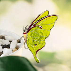 Luna Moth butterfly Suncatcher Stained Glass Home plants decor Mother's Day gift