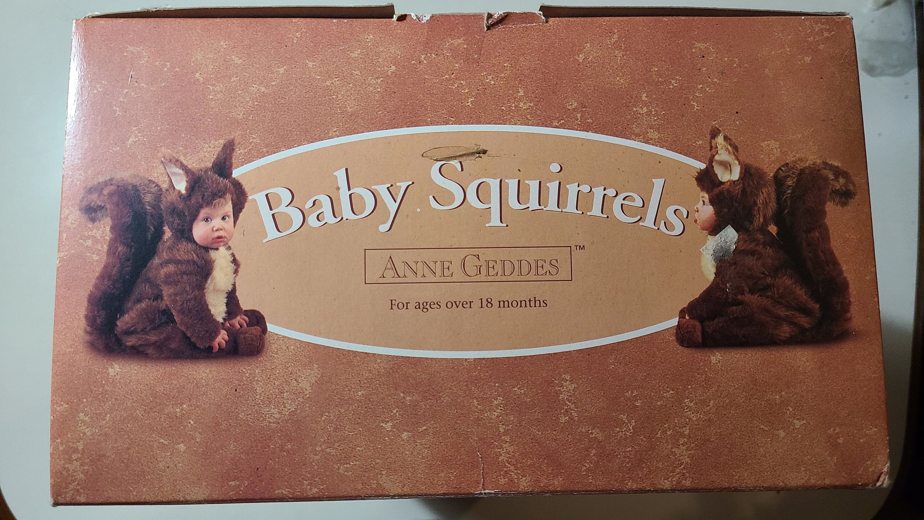 Anne geddes squirrel baby 2025