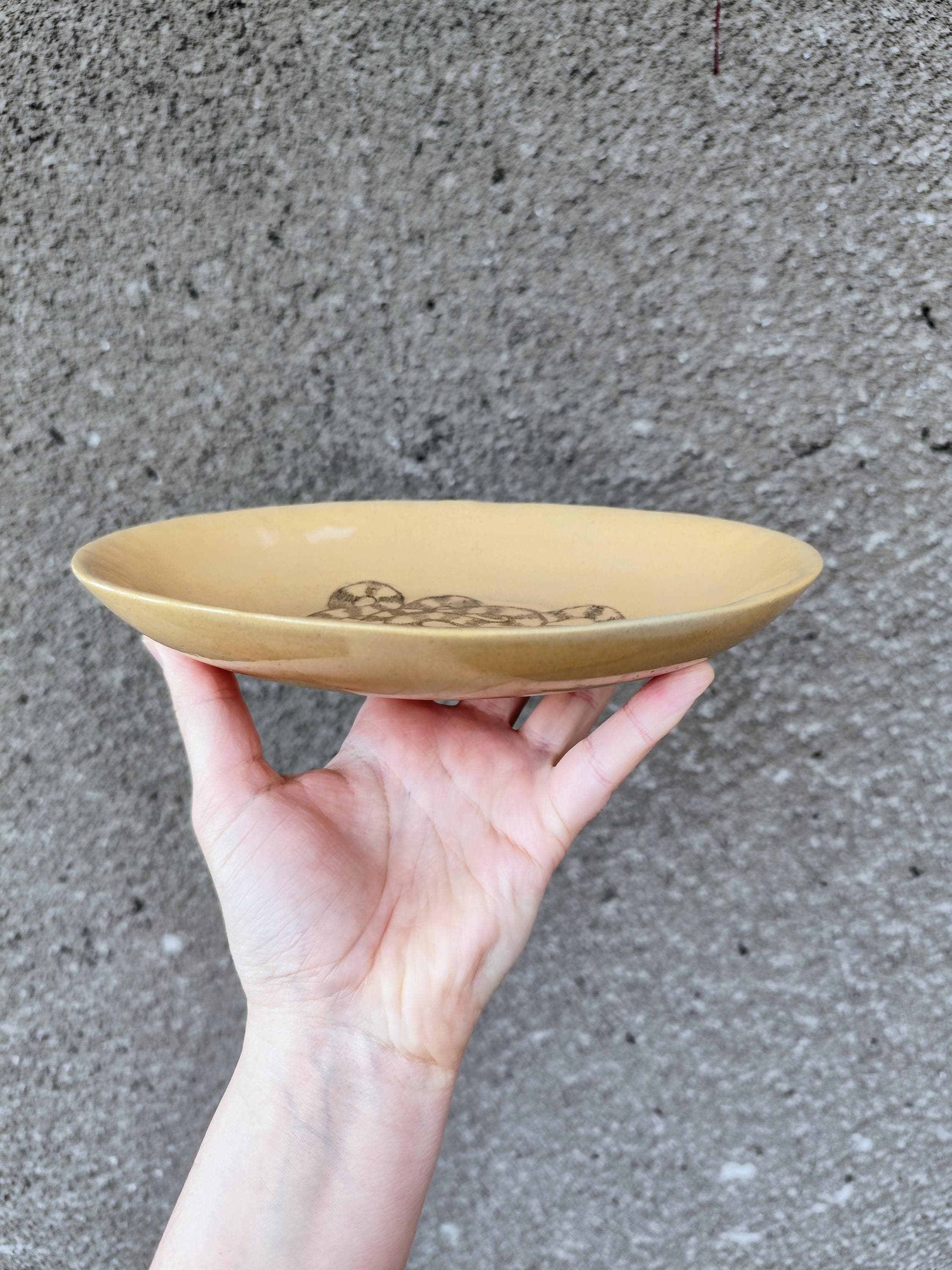 時代物陶器皿。、詳細不明 時代 内青磁山水文 染付膾皿 （江戸時代） – 逢季荘