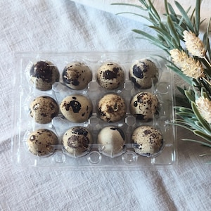 May include: A clear plastic egg carton filled with a dozen speckled quail eggs. The eggs are light tan with dark brown spots. The carton sits on a white linen surface, with sprigs of greenery and dried flowers in the background.