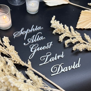 Birthday Name Tags, Wedding Place Names, Custom Wood & Acrylic Names, Wedding Table Decoration, Personalized Table Setting, Escort Name Tags