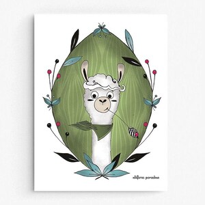 Alpaca - Illustrazione per Bambini