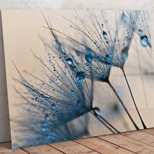 Dandelion Tempered Glass Art: Raindrop Flower Wall Decor