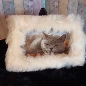 Diario basura “Gato de peluche”