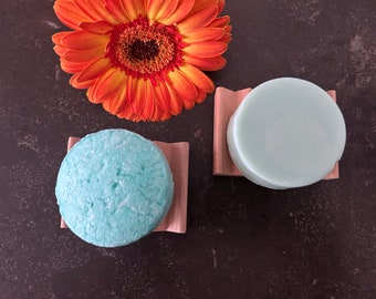 Barras de champú y acondicionador / Eucalipto y menta