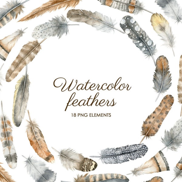 Watercolor boho feathers clipart. Digital feathers clipart PNG. Bohemian clip art.