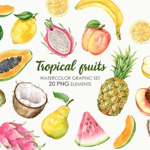 Acuarela Frutas Tropicales Clipart. Fruit PNG Elements Descargar. Piña de Coco Melocotón Papaya Limón