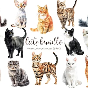 Aquarelle chats clipart png. Images clipart de races de chats.  Graphismes mignons de chats. Des chats réalistes. Animaux de compagnie PNG