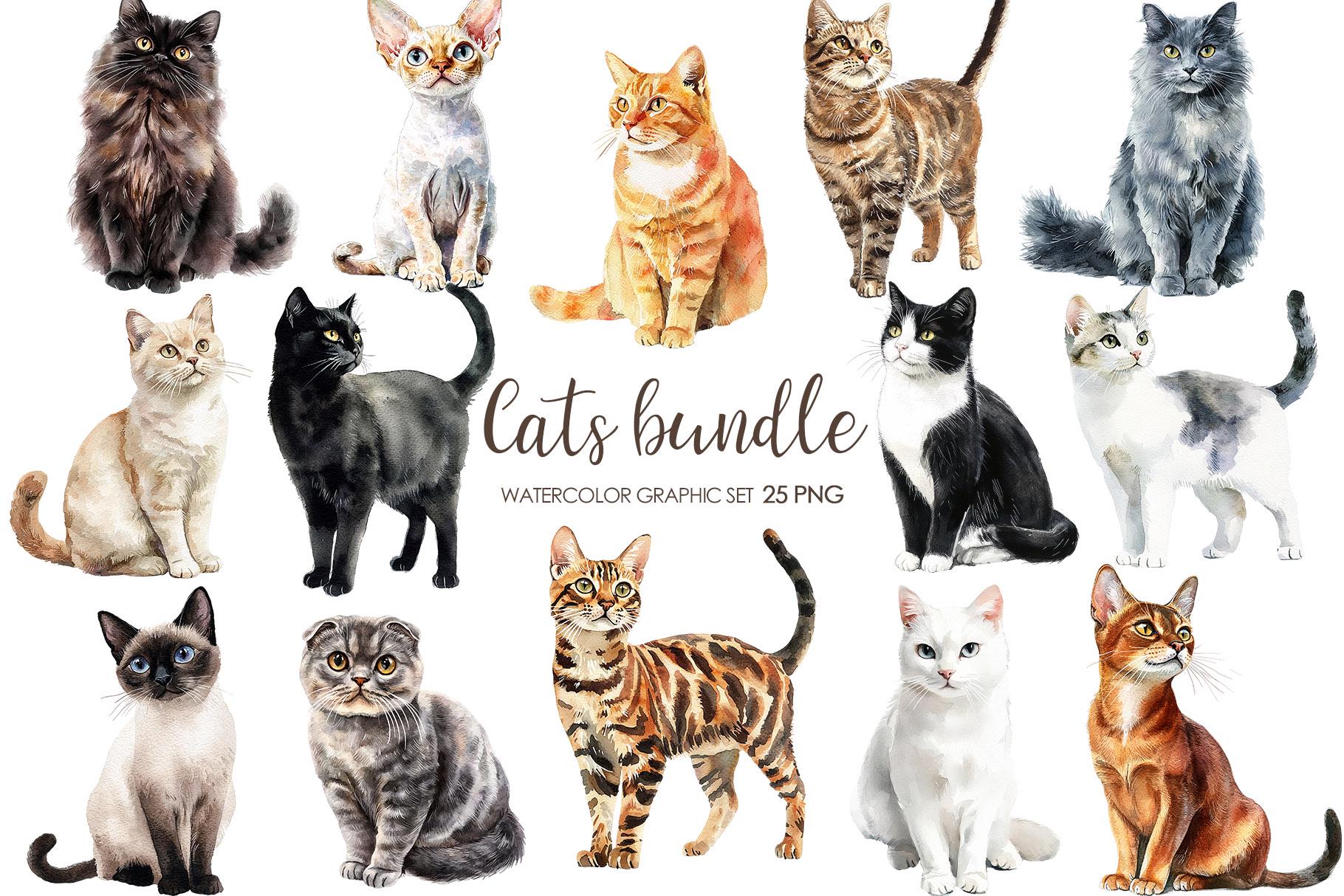 Watercolor Cats clipart png. Cat Breeds clipart.  Cute Cats Graphics. Realistic cats. Pets PNG