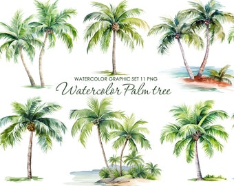 Watercolor Palm tree Clipart.  Palm trees beach tropics. Palm prints. Palm leaves png
