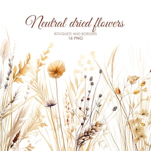 Imágenes prediseñadas de flores silvestres boho de acuarela. Flores silvestres secas neutras. Pradera de flores silvestres. Borde de flores secas.