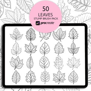 Blätter Procreate Stempel Brushes. Zimmerpflanze Stempel. Blatt Procreate Pinsel. Procreate Pflanze. Botanische Briefmarken. Laub Stempel Pinseln