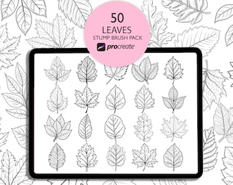 Blätter Procreate Stempel Brushes. Zimmerpflanze Stempel. Blatt Procreate Pinsel. Procreate Pflanze. Botanische Briefmarken. Laub Stempel Pinseln