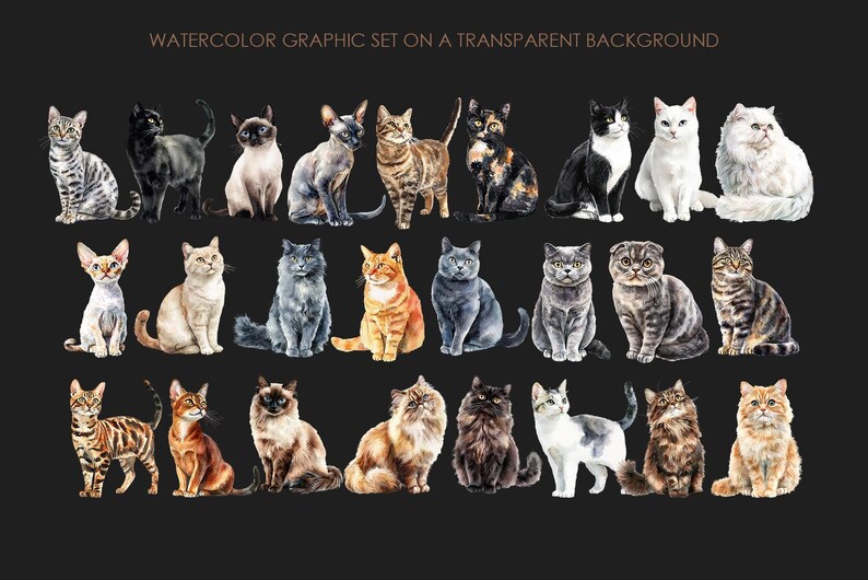 Watercolor Cats Clipart Png. Cat Breeds Clipart. Cute Cats Graphics ...