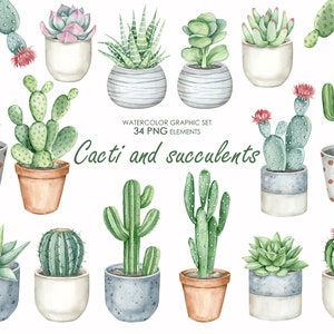 Clipart de cactos e suculentas em aquarela. Cacto em vaso PNG. Gráficos de cactos.