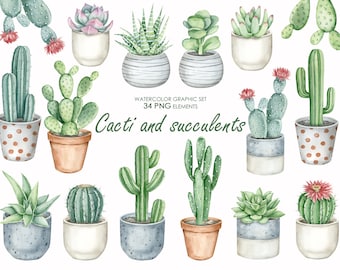 Watercolor cactus and succulents clipart. Potted cactus PNG. Cactus Graphics.