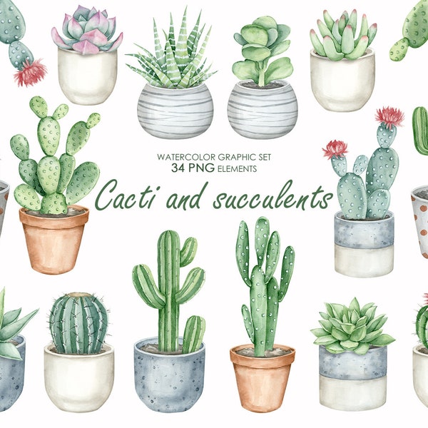 Watercolor cactus and succulents clipart. Potted cactus PNG. Cactus Graphics.