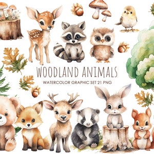 Clipart di simpatici animali del bosco dell'acquerello. Animali della foresta PNG. Clipart della doccia per bambini nel bosco. Cucciolo di orsetto, cucciolo di cervo, cucciolo di volpe.