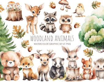 May include: Watercolor illustrations of woodland animals, including a deer, raccoon, owl, bear, fox, deer, badger, rabbit, squirrel, and hedgehog. The illustrations are set against a white background with green trees, brown tree stumps, and leaves.