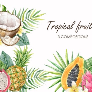 Imágenes prediseñadas de frutas tropicales de acuarela. Imágenes prediseñadas de verano. Composiciones de frutas PNG