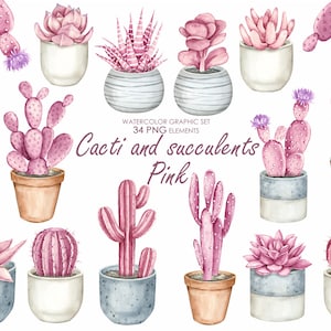 Clipart de cactos e suculentas rosa aquarela. Cacto em vaso PNG. Clipart de cacto rosa.