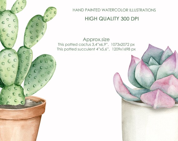 Potted Cactus png images