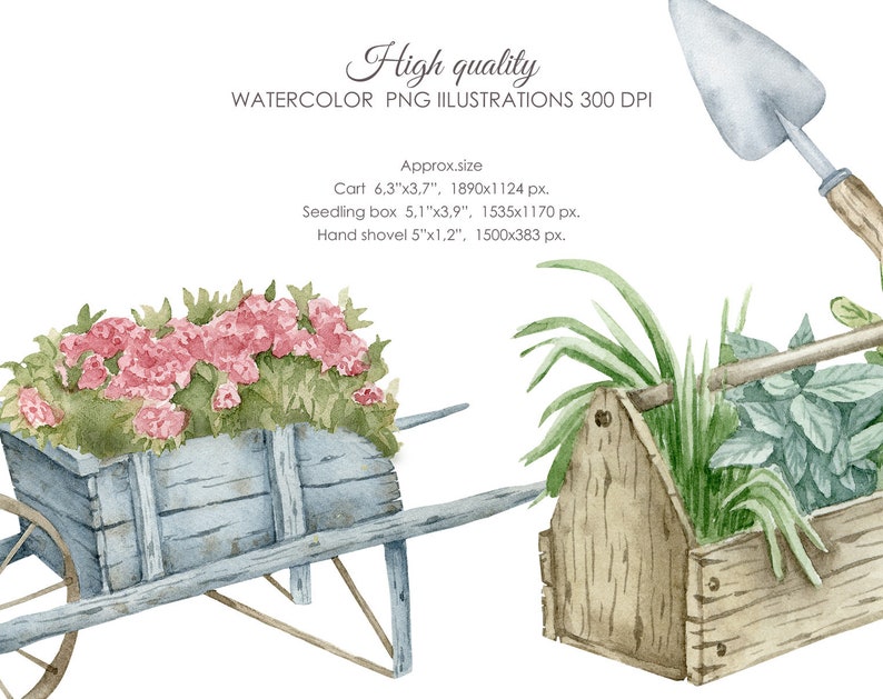 Puede incluir: Conjunto de ilustraciones de acuarela de herramientas de jardiner&iacute;a, que incluye una carretilla llena de flores rosas, una caja de herramientas de madera con plantas verdes y una pala de mano. Las herramientas est&aacute;n pintadas en un estilo realista con detalles sutiles.