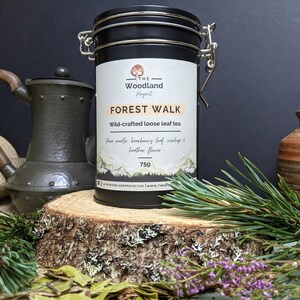 Pine Needle Tea Dried Scots Pine Needles Pinus Sylvestris Etsy