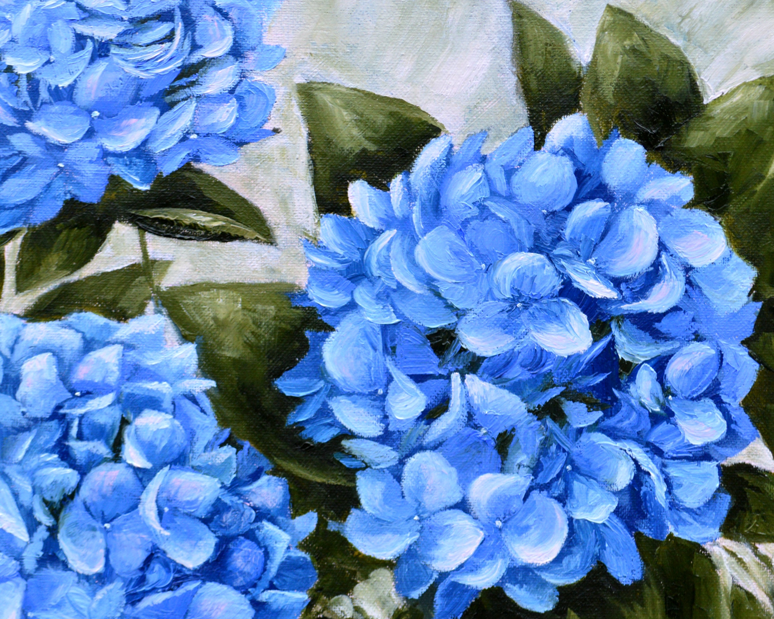 Blue Hydrangea Oil Painting, Floral Botanical Art, 14x14 Canvas - Etsy