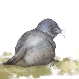 Seal Art Print