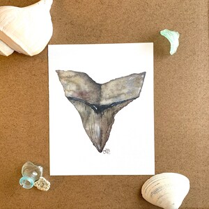 Shark Tooth Art Print