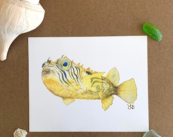 Pufferfish Art Print