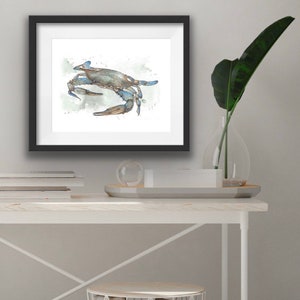 Blue Claw Crab Art Print