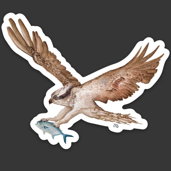 Osprey bird, Sea Life Sticker, Vinyl Sticker, Weatherproof, Durable, Ocean Sticker, Die Cut Sticker, Watercolor Art