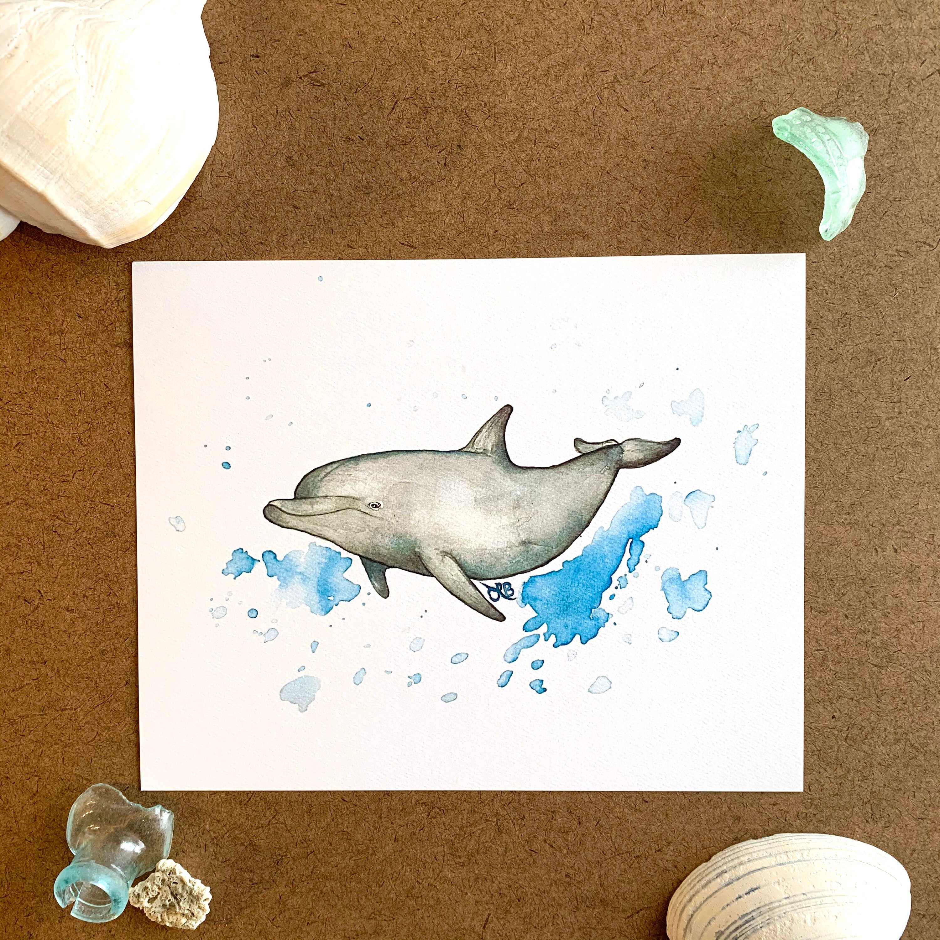 Bottlenose Dolphin Art Print - Etsy